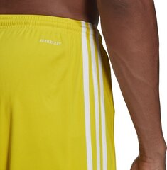 Vīriešu šorti adidas Squadra 21 GN5772, dzelteni, XL cena un informācija | Futbola formas un citas preces | 220.lv