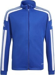 Bērnu adīts Adidas Squadra 21 zils GP6457 цена и информация | Футбольная форма и другие товары | 220.lv