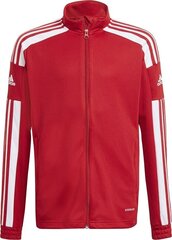 Bērnu džemperis Adidas Squadra 21 sarkans GP6458, 128 cm цена и информация | Футбольная форма и другие товары | 220.lv