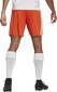 Vīriešu šorti adidas Squadra 21 GN8084, oranžs, XL cena un informācija | Futbola formas un citas preces | 220.lv