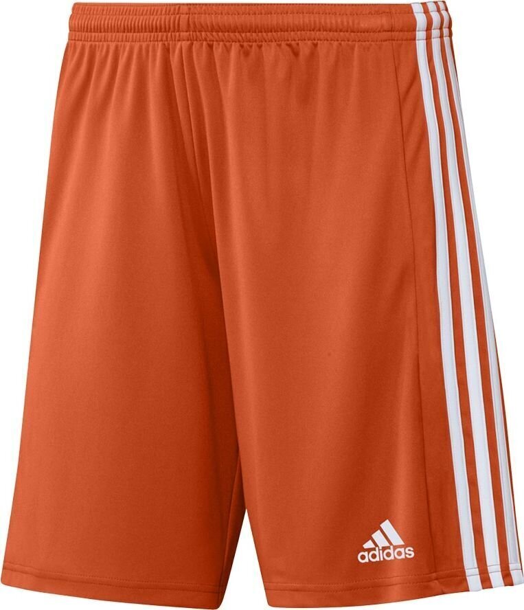 Vīriešu šorti adidas Squadra 21 GN8084, oranžs, L цена и информация | Futbola formas un citas preces | 220.lv