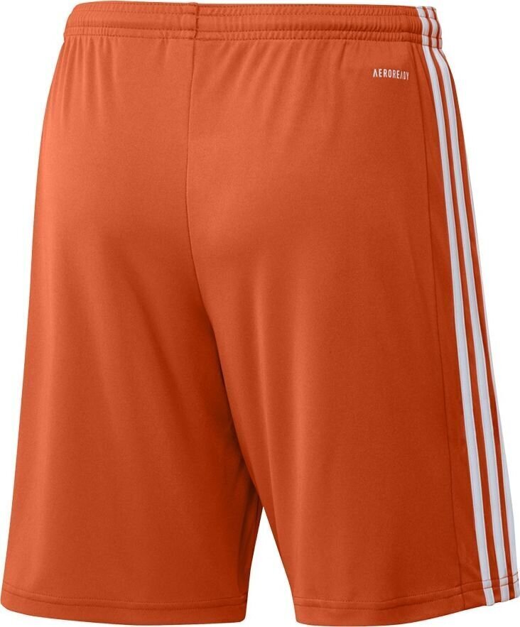 Vīriešu šorti adidas Squadra 21 GN8084, oranžs, L цена и информация | Futbola formas un citas preces | 220.lv