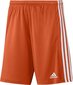 Vīriešu šorti adidas Squadra 21 GN8084, oranžs, M цена и информация | Futbola formas un citas preces | 220.lv