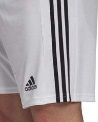 Мужские шорты Adidas Squadra 21 GN5773, белый цена и информация | Футбольная форма и другие товары | 220.lv