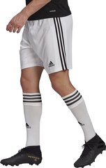 Мужские шорты Adidas Squadra 21 GN5773, белый, XS цена и информация | Футбольная форма и другие товары | 220.lv