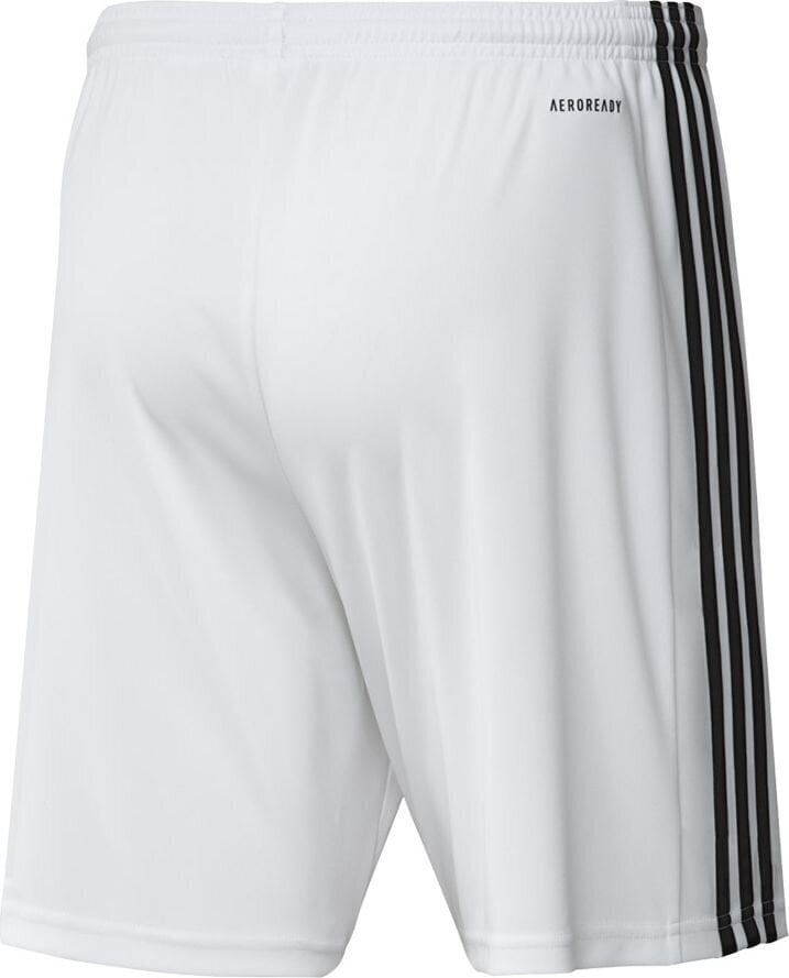 Vīriešu šorti adidas Squadra 21 GN5773, balti цена и информация | Futbola formas un citas preces | 220.lv