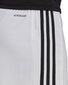 Vīriešu šorti adidas Squadra 21 GN5773, balti цена и информация | Futbola formas un citas preces | 220.lv