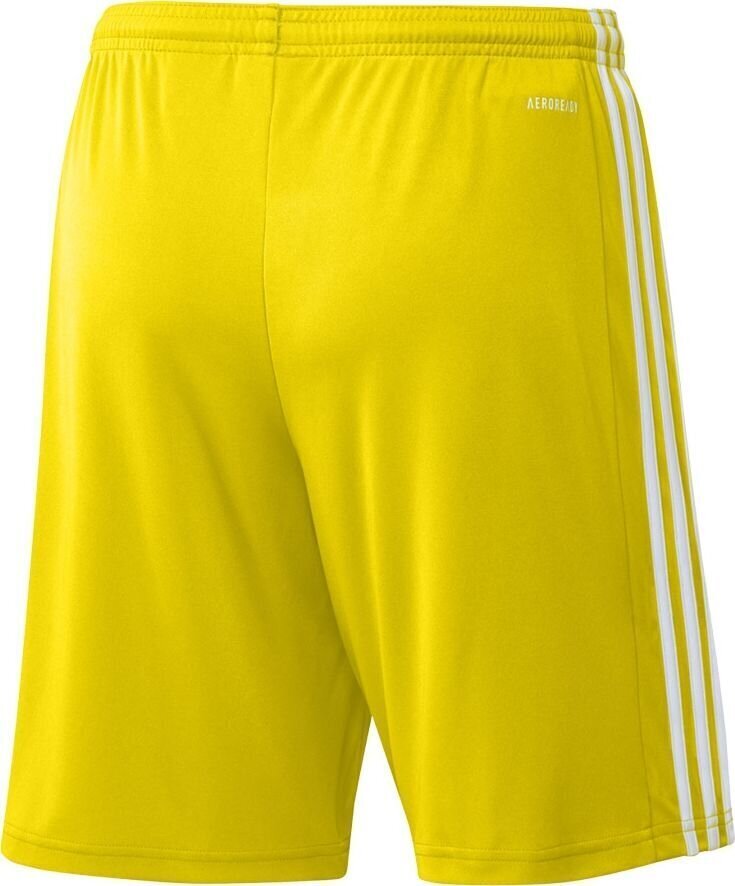 Vīriešu šorti adidas Squadra 21 GN5772, dzelteni, XXL цена и информация | Futbola formas un citas preces | 220.lv