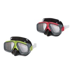 Diving Mask Intex Surf Rider цена и информация | Маски для дайвинга | 220.lv