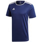 Bērnu T-krekls adidas Entrada 18 Jersey JUNIOR CF1036/CF1047, zils цена и информация | Futbola formas un citas preces | 220.lv