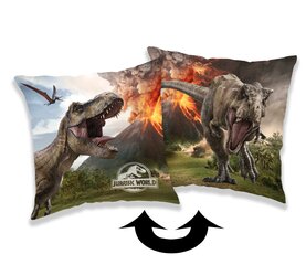 Bērnu dekoratīvs spilvens Jurassic WorldVolcano cena un informācija | Dekoratīvie spilveni un spilvendrānas | 220.lv