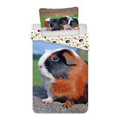 Gultas veļas komplekts GuineaPig, 140x200 cm, 2 daļu cena un informācija | Bērnu gultas veļa | 220.lv