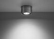 Sollux griestu lampa Basic 1 цена и информация | Griestu lampas | 220.lv