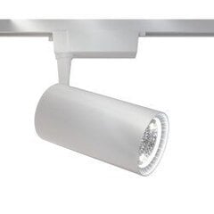 Track Lighting TR003-1-40W3K-W цена и информация | Трековые светильники и шинопроводы | 220.lv