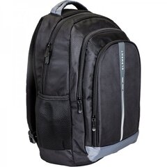 Рюкзак для ноутбука Element backpack for laptop Spirit 15.6" цена и информация | Рюкзаки, сумки, чехлы для компьютеров | 220.lv