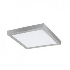 FUEVA 1 surface-mounted light цена и информация | Потолочные светильники | 220.lv