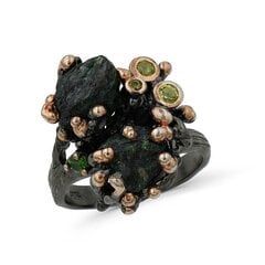 Серебряное (925) кольцо с драгоценными камнями, код F50258EU-56 цена и информация | Кольца | 220.lv