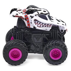 Внедорожник Monster Jam 1:43, 6063898 цена и информация | Игрушки для мальчиков | 220.lv