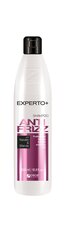 Шампунь для сухих волос Cece Experto + Anti Frizz, 500 мл цена и информация | Шампуни | 220.lv