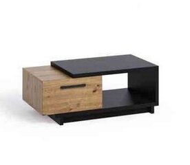 Kafijas galdiņš BSL Concept Ines, 120x60x40 cm, melns/brūns cena un informācija | Žurnālgaldiņi | 220.lv