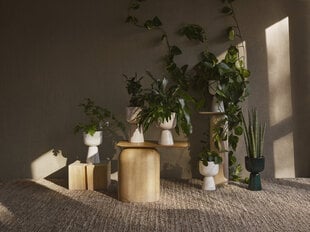 Шарики для полива комнатных растений Iittala, 2 шт. цена и информация | Вазоны | 220.lv