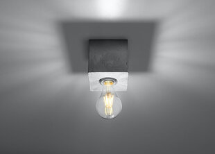 Sollux griestu lampa Ariz cena un informācija | Griestu lampas | 220.lv