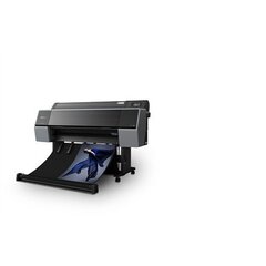 Epson C11CH13301A0, цветной цена и информация | Принтеры | 220.lv