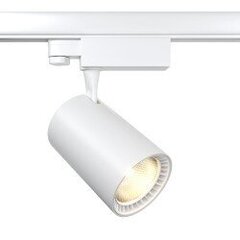 LED sliežu prožektors Maytoni Tehnical kolekcija balts 30W 4000K cena un informācija | Sliežu apgaismojuma sistēmas | 220.lv