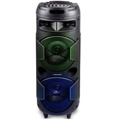 DUNLOP TWS USB/MICROSD/MP3/KARAOKE/BLUETOOTH + FM БЕСПРОВОДНАЯ КОЛОНКА 40W цена и информация | Аудиоколонки | 220.lv