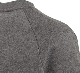 Bērnu džemperis adidas Core 18 CV3969, pelēks cena un informācija | Zēnu jakas, džemperi, žaketes, vestes | 220.lv