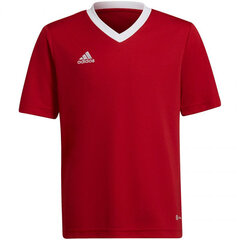 Детская футболка Adidas Entrada 22 Jsy H57496, красный цена и информация | Футбольная форма и другие товары | 220.lv