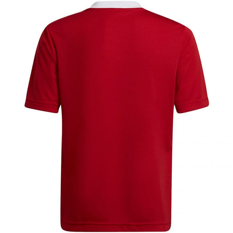 Bērnu T-krekls Adidas Entrada 22 Jsy H57496, sarkans cena un informācija | Futbola formas un citas preces | 220.lv