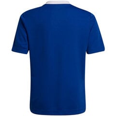 Bērnu T-krekls Adidas Entrada 22 Jsy HG3948, zils cena un informācija | Futbola formas un citas preces | 220.lv