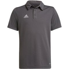 Bērnu Polo T-krekls Adidas Entrada 22 H57485, pelēks cena un informācija | Futbola formas un citas preces | 220.lv