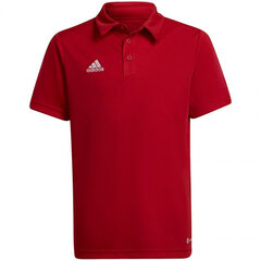 Поло детская футболка Adidas Entrada 22 H57495, красный цена и информация | Футбольная форма и другие товары | 220.lv