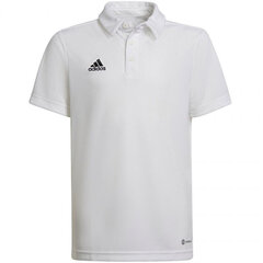 Polo bērnu T-krekls Adidas Entrada 22 HC5059, balts cena un informācija | Futbola formas un citas preces | 220.lv