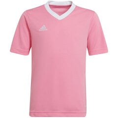 Bērnu T-krekls Adidas Entrada 22 Jersey HC5055, rozā cena un informācija | Futbola formas un citas preces | 220.lv