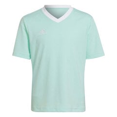 Детская футболка Adidas Entrada 22 Jersey HC5078, цвета мяты цена и информация | Футбольная форма и другие товары | 220.lv