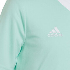 Детская футболка Adidas Entrada 22 Jersey HC5078, цвета мяты цена и информация | Футбольная форма и другие товары | 220.lv