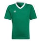 Bērnu T-krekls Adidas Entrada 22 Jersey HI2126, zaļš cena un informācija | Futbola formas un citas preces | 220.lv