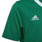 Bērnu T-krekls Adidas Entrada 22 Jersey HI2126, zaļš cena un informācija | Futbola formas un citas preces | 220.lv