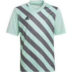 Bērnu T-krekls Adidas Entrada 22 Graphic Jersey HF0127, piparmētra/pelēks cena un informācija | Futbola formas un citas preces | 220.lv