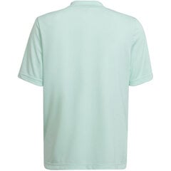 Bērnu T-krekls Adidas Entrada 22 Graphic Jersey HF0127, piparmētra/pelēks cena un informācija | Futbola formas un citas preces | 220.lv