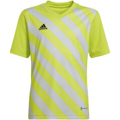 Bērnu T-krekls Adidas Entrada 22 Graphic Jersey HF0133, dzeltens/pelēks cena un informācija | Futbola formas un citas preces | 220.lv