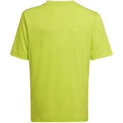 Bērnu T-krekls Adidas Entrada 22 Graphic Jersey HF0133, dzeltens/pelēks cena un informācija | Futbola formas un citas preces | 220.lv