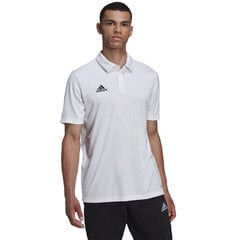 Vīriešu T-krekls Adidas Entrada 22 Polo HC5067, balts cena un informācija | Vīriešu T-krekli | 220.lv