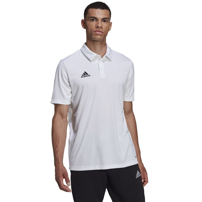 Vīriešu T-krekls Adidas Entrada 22 Polo HC5067, balts cena un informācija | Vīriešu T-krekli | 220.lv