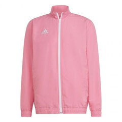 Vīriešu džemperis Adidas Entrada 22 HC5040, rozā cena un informācija | Sporta apģērbs vīriešiem | 220.lv
