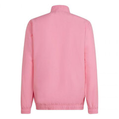 Мужской свитер Adidas Entrada 22 HC5040, розовый цена и информация | Мужская спортивная одежда | 220.lv