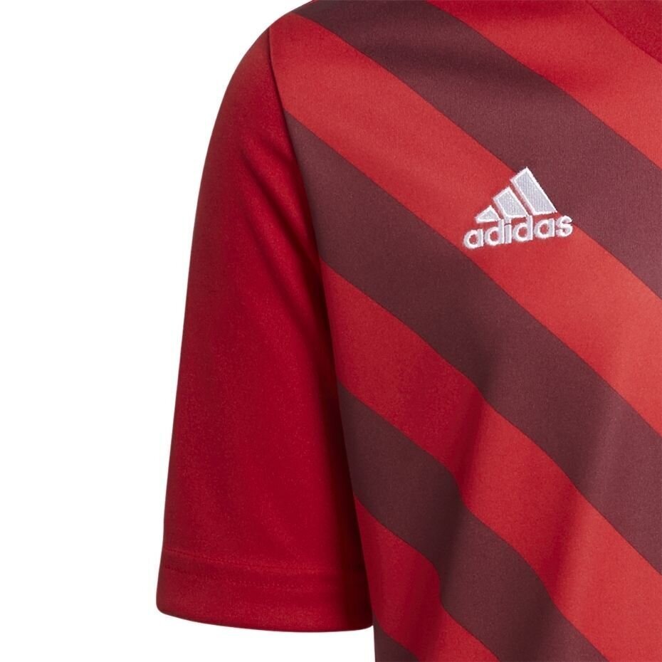 Bērnu T-krekls Adidas Entrada 22 Graphic Jersey H58983, sarkans cena un informācija | Futbola formas un citas preces | 220.lv
